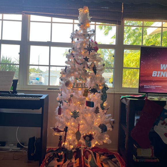 Meet your Posher, Keren - Picture 1 of 3